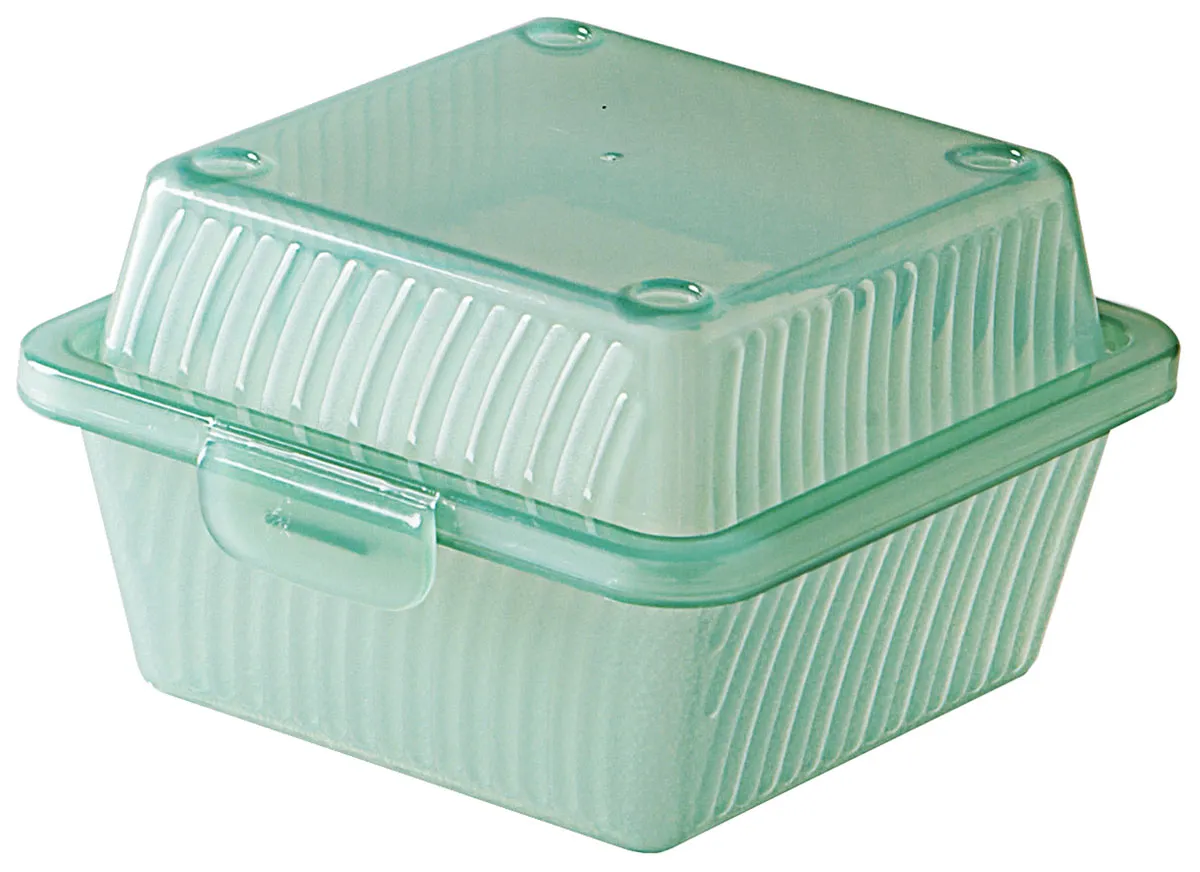 Picture of Eco-Takeouts Behälter, grün