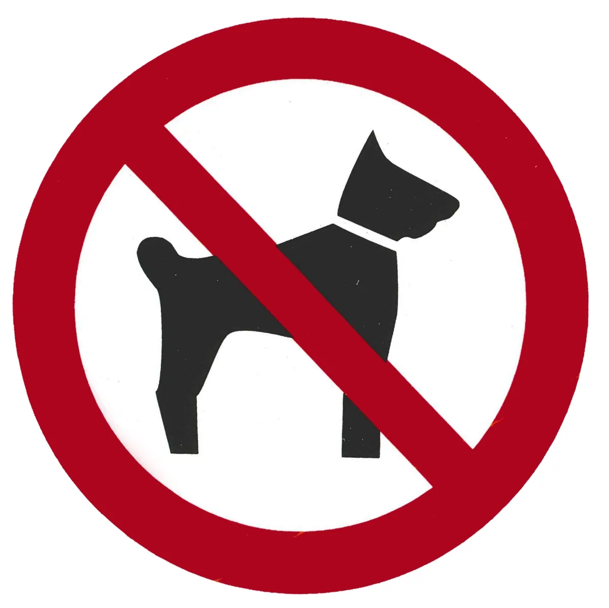 Picture of Schild "Hundeverbot / Hunde verboten"  