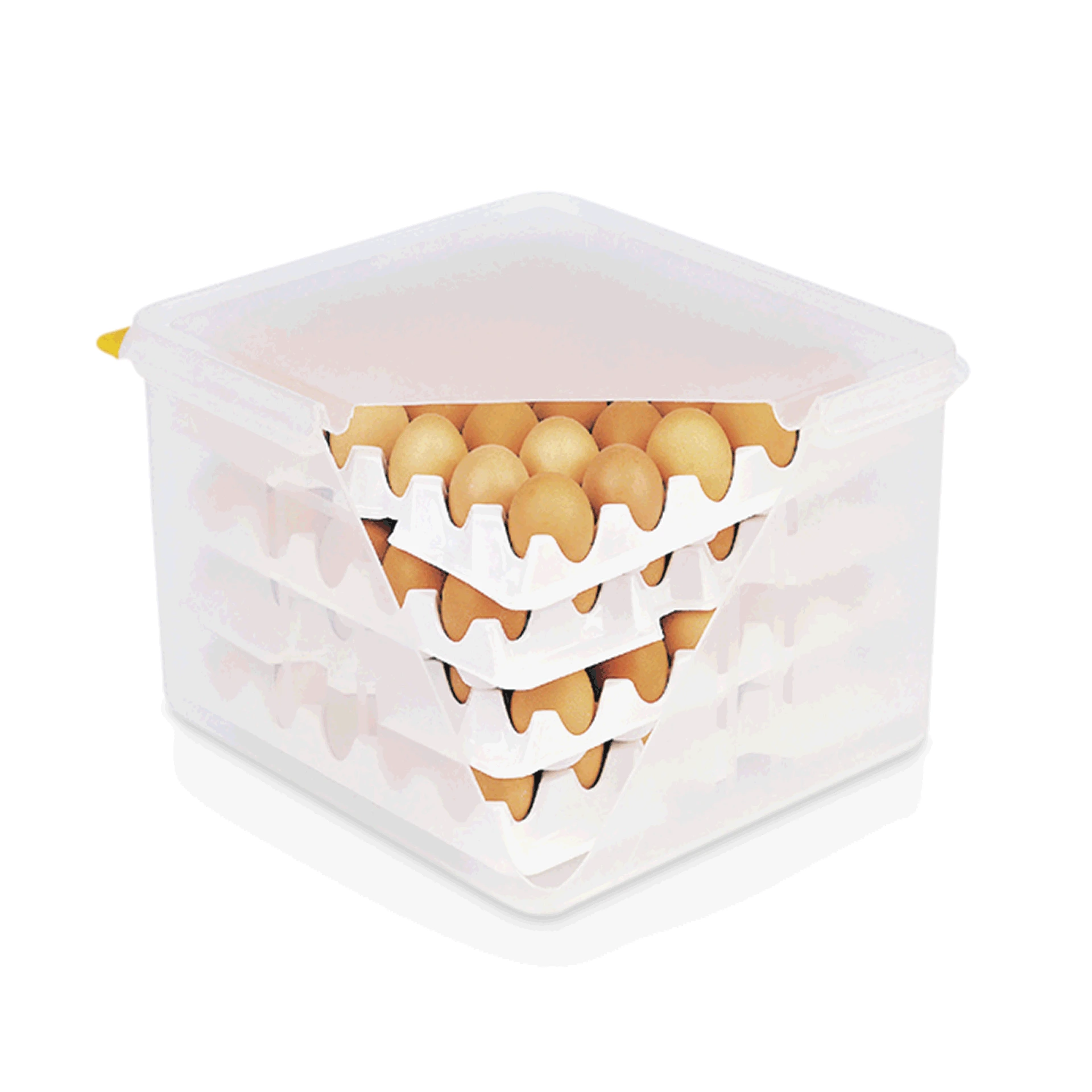 Bild von HACCP Eierbox
