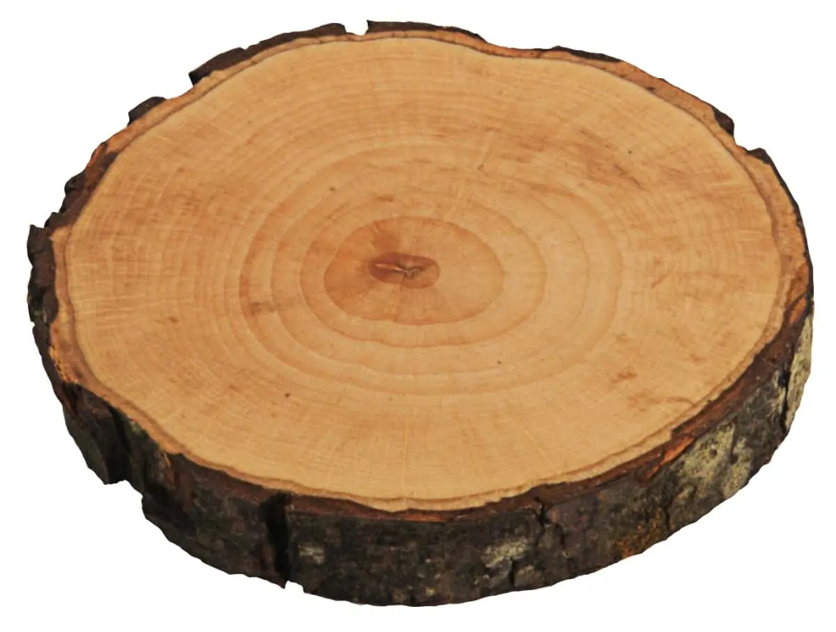 Bild von PURE NATURE Holzscheibe, klein  